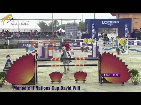 10 colt by Cornet´s Quaprice - Cicero Z