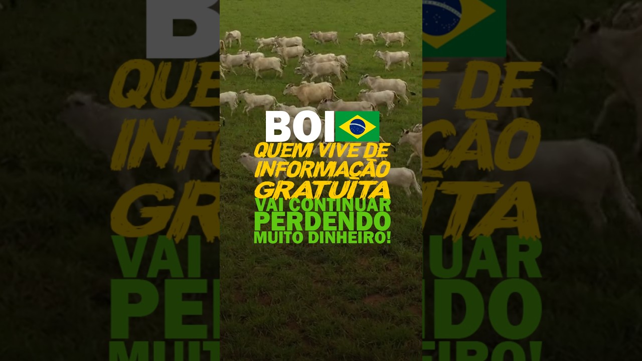 BOI BR: QUEM VIVE DE INFORMAÇÃO GRATUITA VAI CONTINUAR PERDENDO MUITO DINHEIRO!