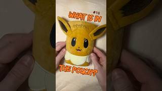 Ep.16 | What is in the pouch? #Eevee #eeveepouch #whatisinthepouch #cardsopening #eeveegrove