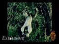 Vikraal Aur Gabraal S1 Episode 1 Part 88