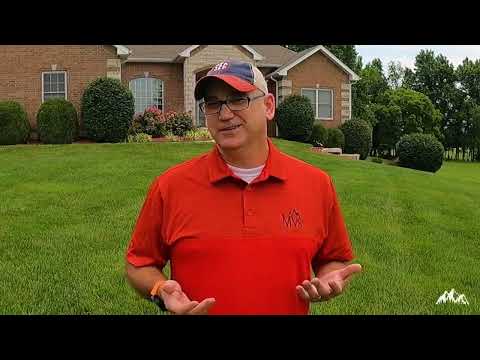 Rehab Your Ugly Lawn