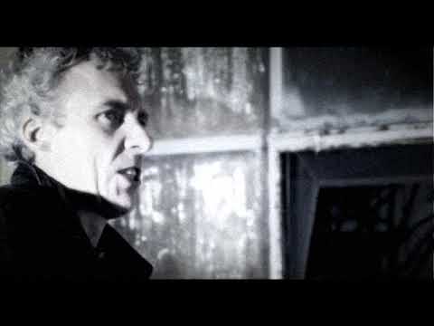 Only One Flavour - Die Toten Hosen