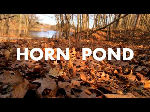 Horn Pond