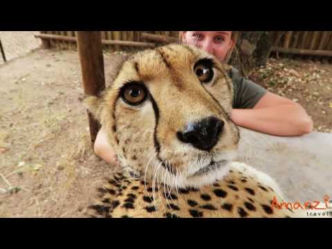 Living with Cheetahs - Janie & Julia