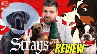 Strays (2023) - SPOILER FREE - Movie Review | Is it worth your time?