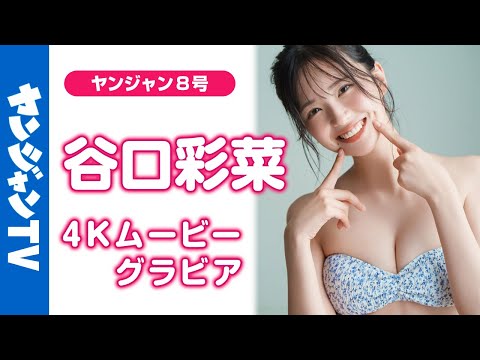 아이콘