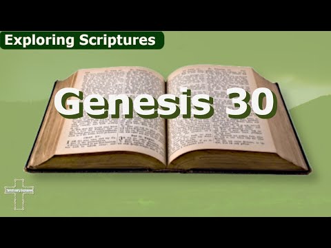 Genesis 30 Jacob Prospers Despite of Laban's Treachery