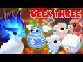 Christmas Week 3 Update Frost Phoenix Angus Box Cozy Mistletroll Roblox Adopt Me 2025 Riivv3r