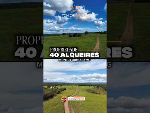 EXCELENTE PROPRIEDADE 40 ALQUEIRES MONTE FORMOSO-MG R$ 2.8 MILHÕES #rural #fazenda #roça #gado #agro