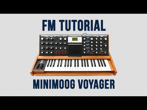 Moog Minimoog Voyager Select Series image 8
