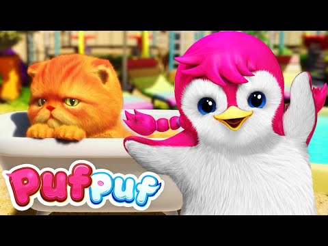 Cântece PufPuf  - Hai să ne jucăm cu apă - Udăm motanul, da? 🐱