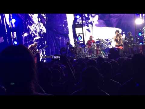 Red Hot Chili Peppers - Around The World - Big Hello To Brooklyn at the Barclays Center Brooklyn