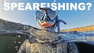 Vegetarian learns to spearfish