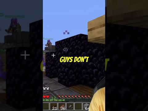 Crazy DIY Nation: Minecraft + MrBeast ?!