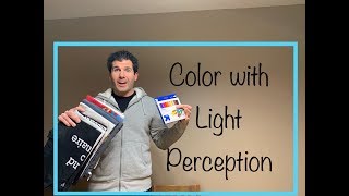 What Does Color Look Like for a Blind Person with Only Light Perception?