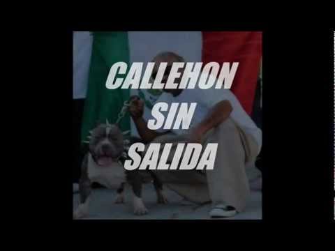***NEW**CHUCK TAYLOR EL CHUCO***CALLEHON SIN SALIDA