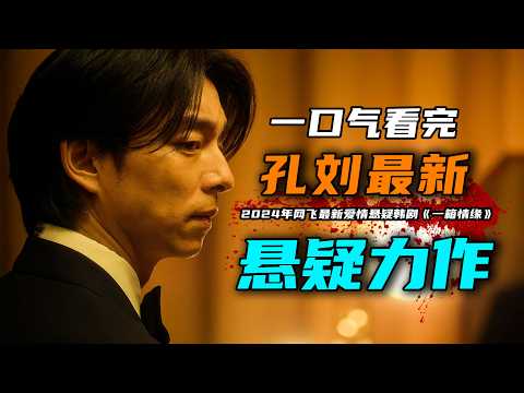 一口气看完2024年网飞最新爱情悬疑韩剧《一箱情缘》孔刘，徐玄振新作！改编自同名人气小说，最佳编剧奖得主朴恩英担任编剧，口碑两极分化的很严重的剧？#一箱情缘