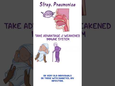Clinical Cuts - Streptococcus pneumoniae