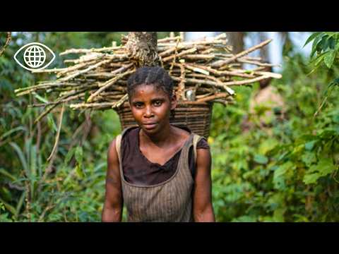 Congo, cœur d’Afrique : traditions, forêts et spiritualité - Documentaire voyage - AMP