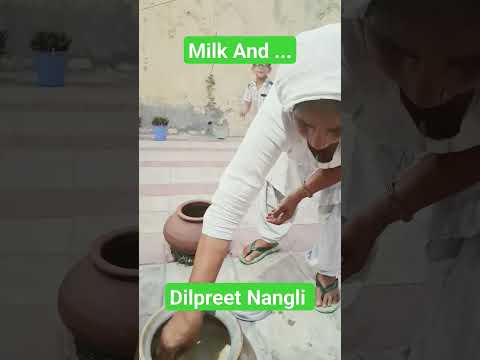 Milk chocolate 🍫 😋 Eating Dilpreet  #viral #funny #shorts