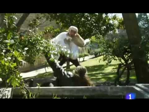 El tío la vara episodio 8:Contra la falta de respeto.