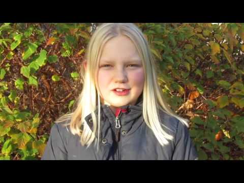 Stævne klargøring! ~ thilde og belli!