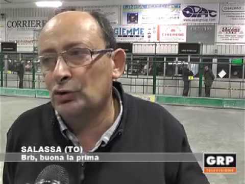 Salassa (TO): Brb buona la prima - GRP Televisione
