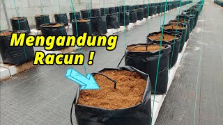 Download lagu Tutorial lengkap MELON HIDROPONIK - Vlog 1 MEDIA TANAM mp3 Download lagu Tutorial lengkap MELON HIDROPONIK - Vlog 1 MEDIA TANAM mp3