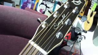 Video thumbnail for Seagull Entourage Mini Jumbo Rustic by Mike's Golf Shop