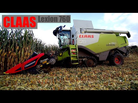 CLAAS Lexion 760 Terra Trac mit einem Geringhoff Maispflückvorsatz  Horizon Star 2  am Mais dreschen