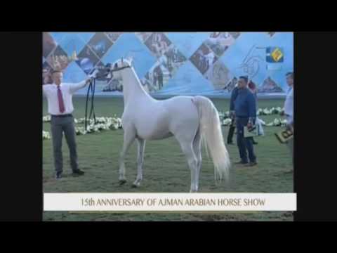 Ajman 2017 - Class 7