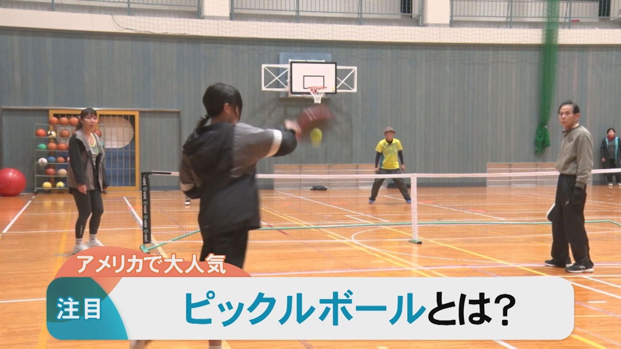 アメリカ国民の6人に1人がプレー「ピックルボール」　故郷で普及に取り組むのは…乳がん療養中の女性　その思いとは？