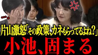 【さとうさおり】※遂に小池のトンデモナイ政策が片山さつき切り込まれ政治家生命終了【佐藤沙織里 消費税 東京都議会本会議】