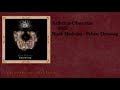 Aetherius Obscuritas 2009 Black Medicine Fekete Orvossag Full Album