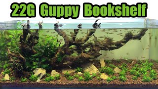 22 Gallon Bookshelf Aquarium for Breeding Endler Guppies!