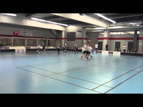 22 3 2014 D2 YA Steelers Musta TPS Panthers maalikooste