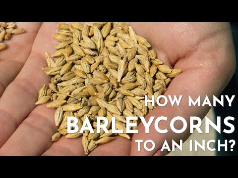 The Weirdest Unit of Measure We Still Use | Barleycorns | Shorts