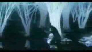 Evanescence- haunted