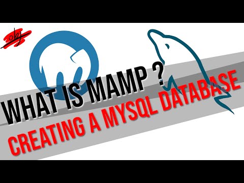 What is MAMP? and Creating a MySQL Database (Junior Dev)