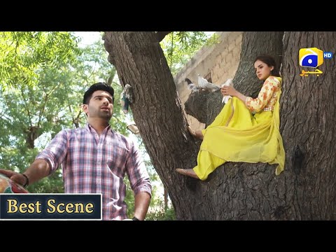 Tere Aany Se Ep 30 | Komal Meer - Muneeb Butt | Best Scene 02 | Har Pal Geo