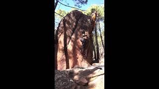 Video thumbnail de Imperial Ipa, 6a+. Albarracín