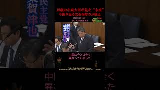 【19歳の小泉大臣が見た未来/ 榛葉賀津也】S席で見たい「榛葉劇場」 2026年4月14日 (参)外交防衛委員会#国会#榛葉幹事長#国民民主#トランプ#イラン#外交#中東#中国#安全保障#中央アジア