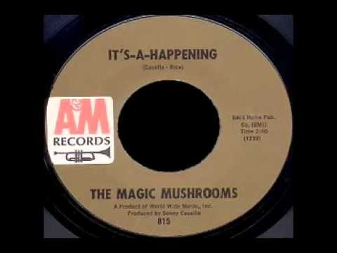 The Magic Mushrooms - It's A Happening