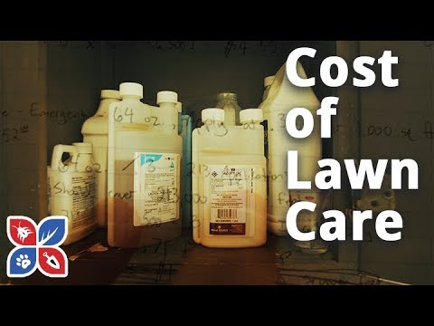  Do My Own Lawn Care  -  Cost of Lawn Care Video 
