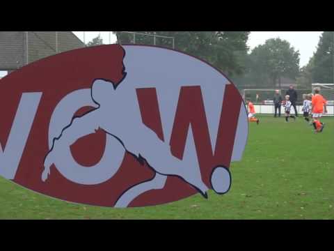 15-10-2016 VOW JO13-1 - Gemert JO13-4