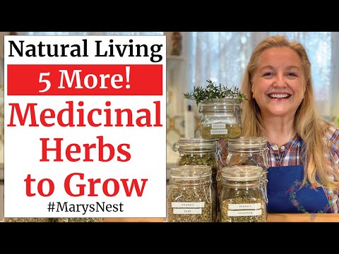 5 More Essential Medicinal Herbs to Grow for Making Home Remedies