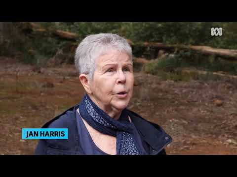 Wellington Dam Memorial Forest