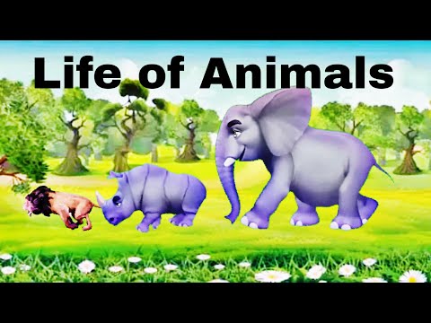 Life of Animals | short animation on animals | Rizwan Azeem Animations