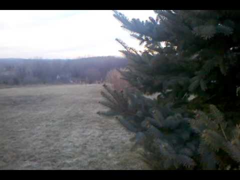 Oh, Deer! Android