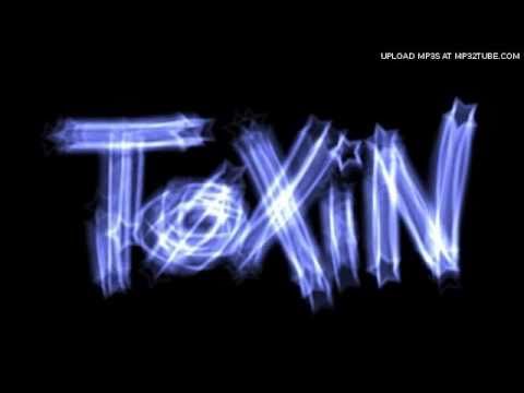 ToXiN - The Holocaust feat. DZK